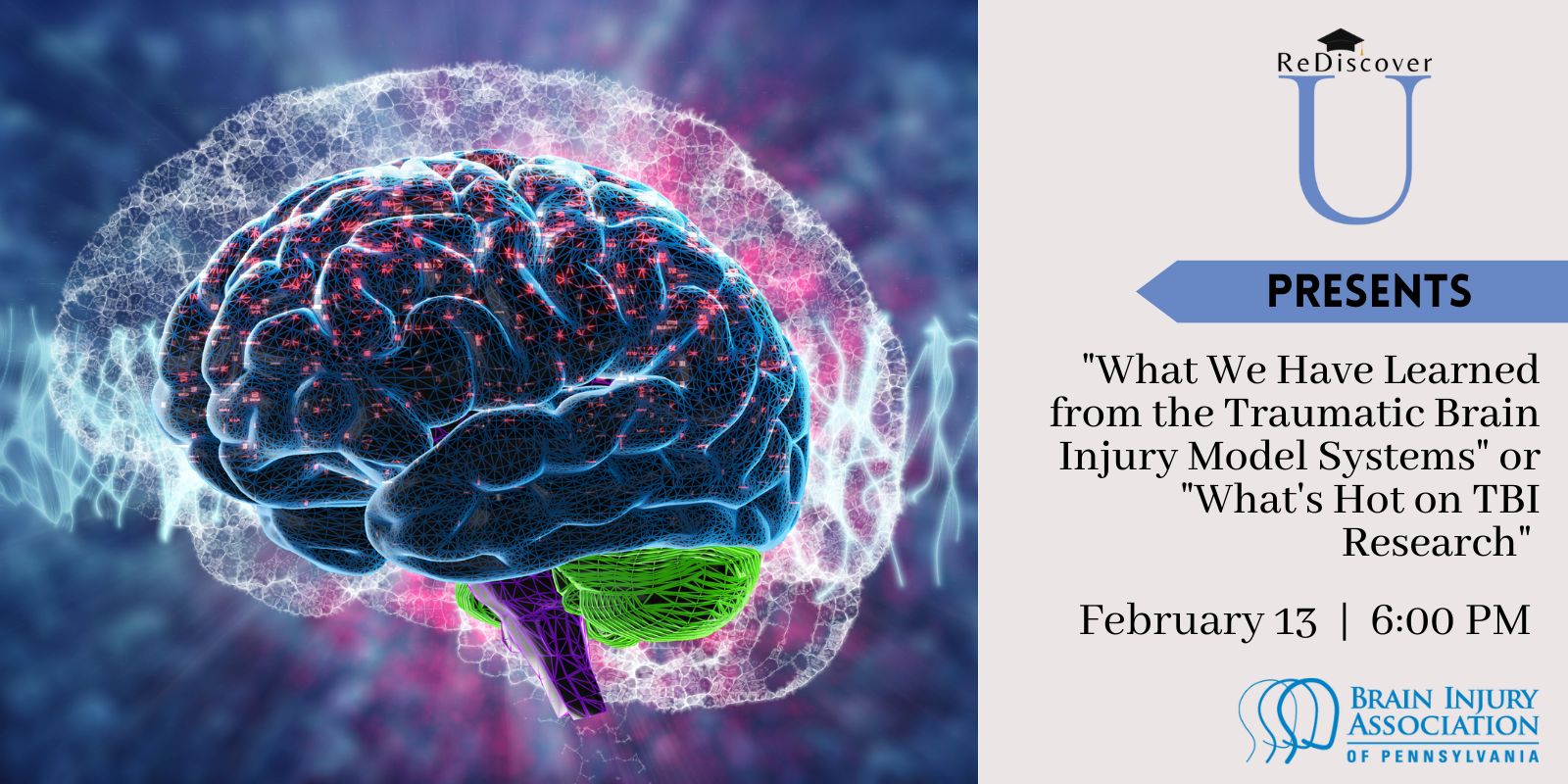 "What We Have Learned from the Traumatic Brain Injury Model Systems" or "What's Hot on TBI Research" 